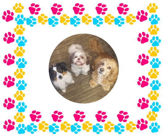 Paw-some Personalized Pet Photo Mousepads!
